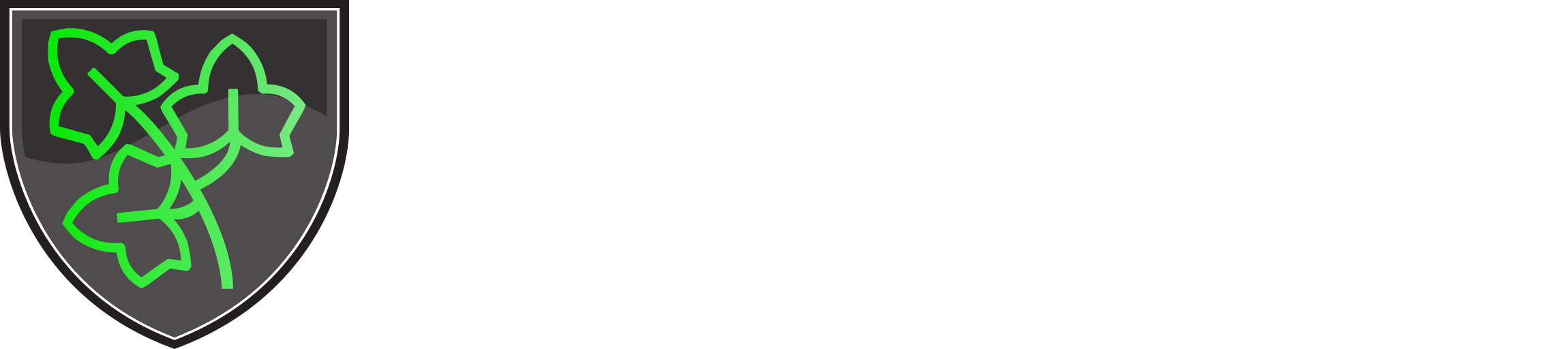 Ivy Cyber – Secure Products & Privacy Education